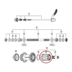 Moyeu De Roue Libre Shimano RM66/35/M3050